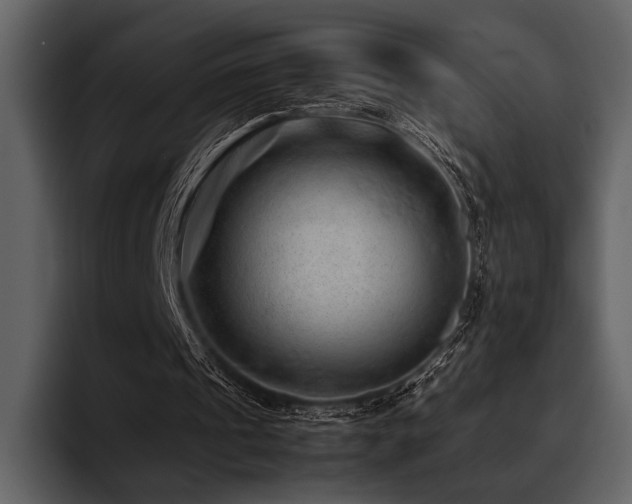 X0000095940241200801111335