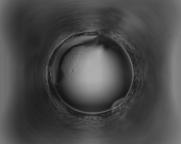 X0000095940242200801111335