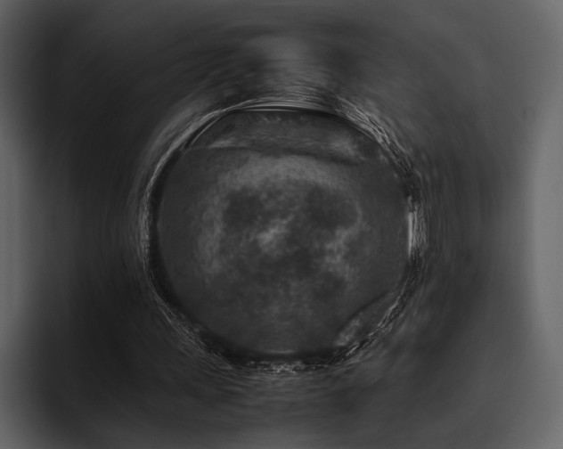 X0000095940243200801111335