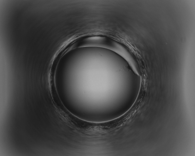X0000095940244200801111335