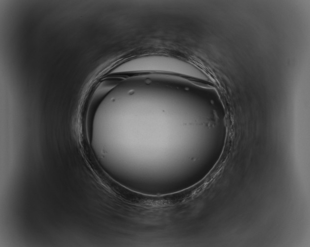 X0000095940245200801111335