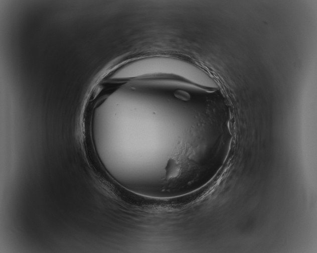 X0000095940246200801111335