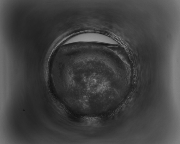 X0000095940247200801111335