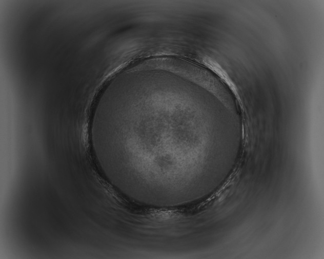 X0000095940249200801111335