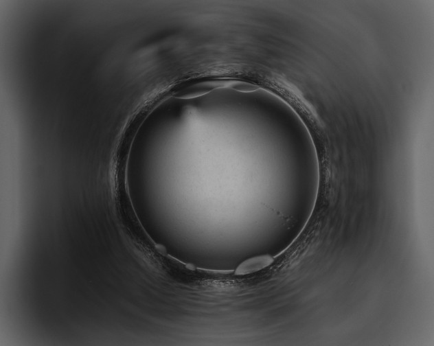 X0000095940250200801111335