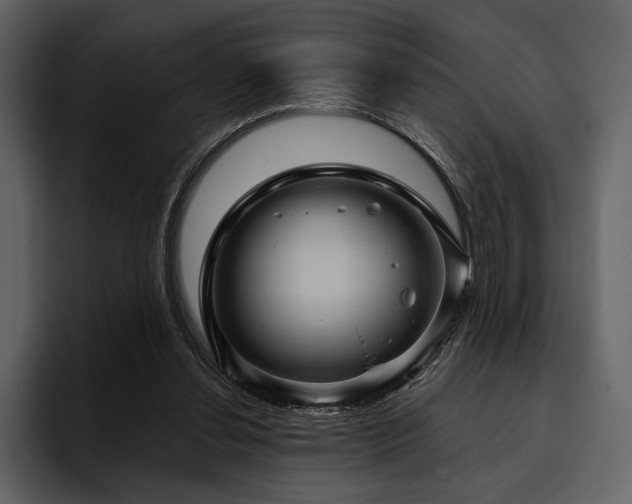 X0000095940252200801111335