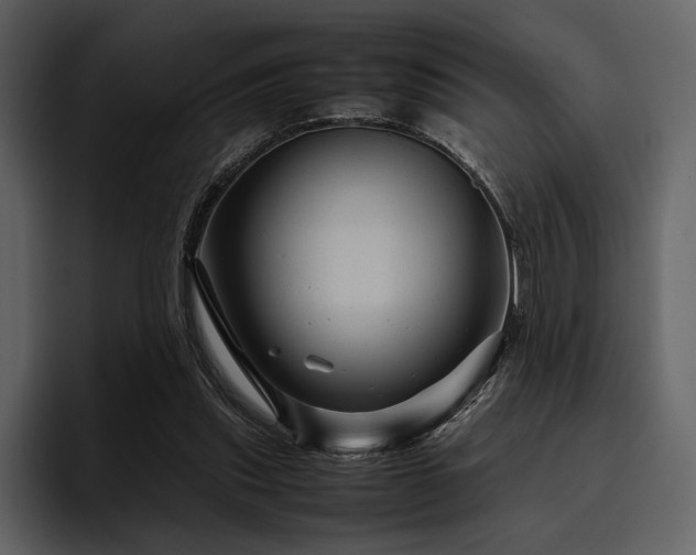 X0000095940253200801111335