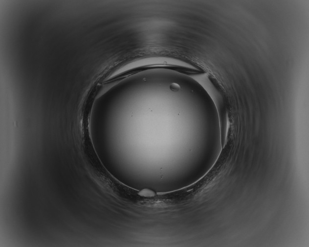 X0000095940254200801111335