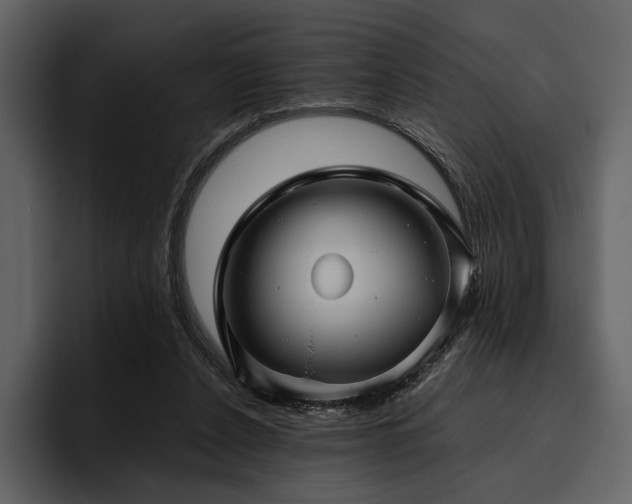 X0000095940256200801111335