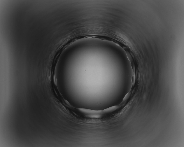 X0000095940258200801111335