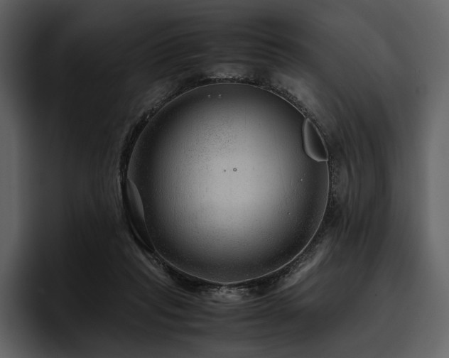 X0000095940261200801111336