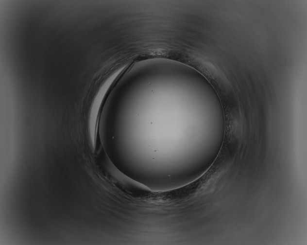 X0000095940262200801111336