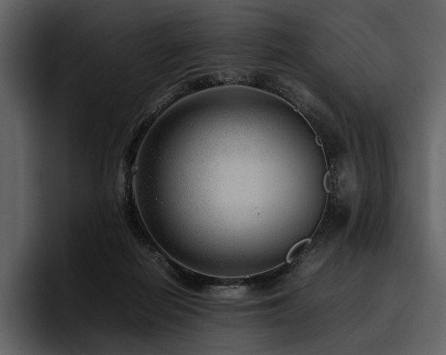 X0000095940266200801111336