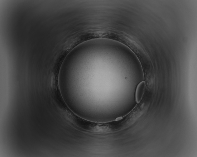 X0000095940270200801111336