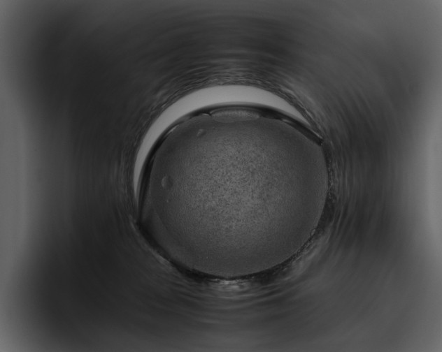X0000095940277200801111336