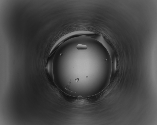 X0000095940280200801111336