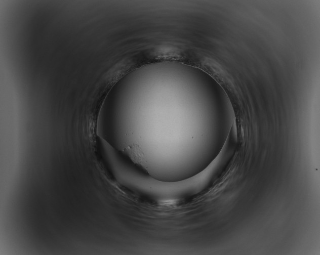 X0000095940281200801111336