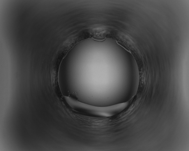 X0000095940283200801111336