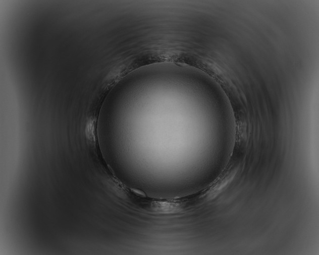 X0000095940286200801111336