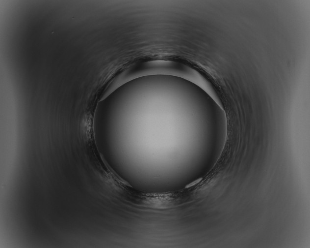 X0000095940288200801111336