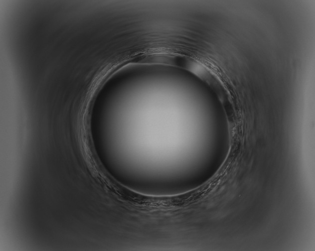 X0000095940289200801111335