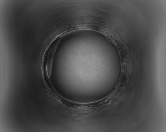 X0000095940290200801111335