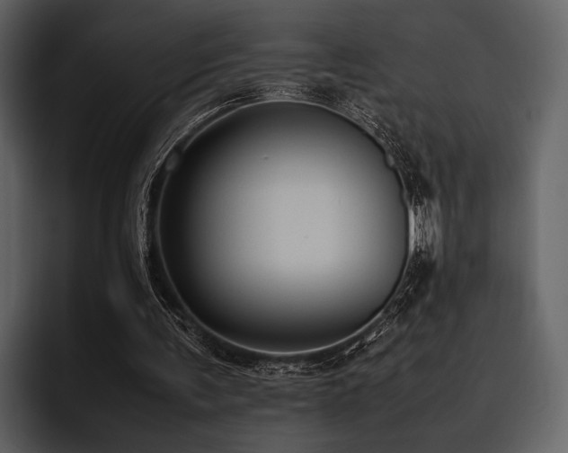 X0000095940291200801111335
