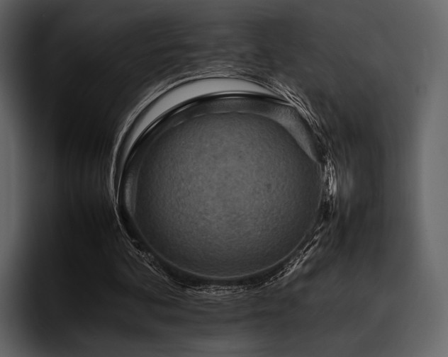X0000095940292200801111335