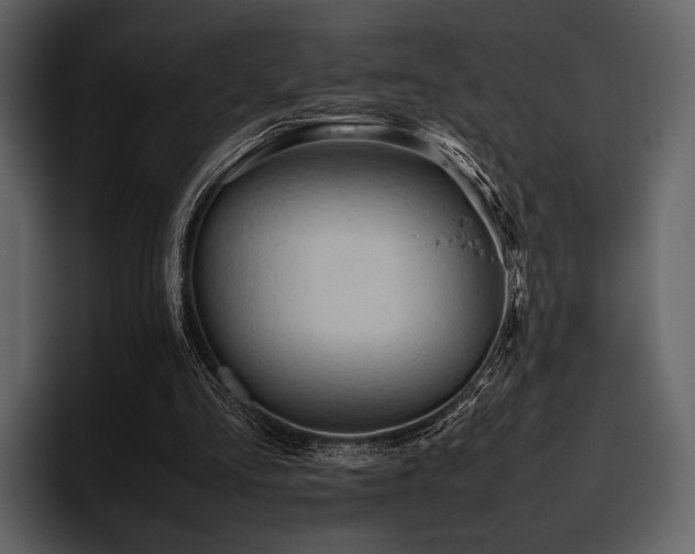 X0000095940293200801111335