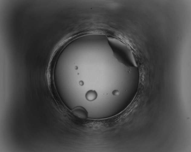 X0000095940294200801111335
