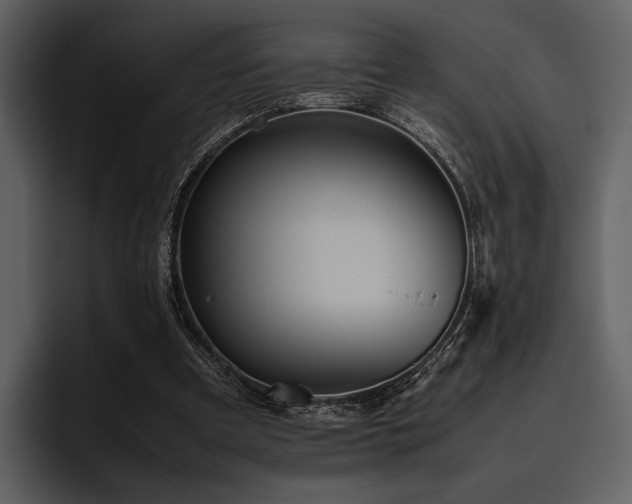 X0000095940297200801111335