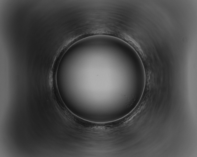 X0000095940298200801111335