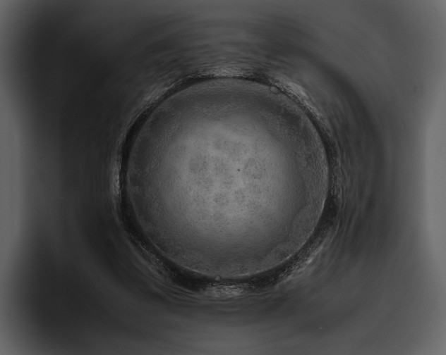 X0000095940299200801111335