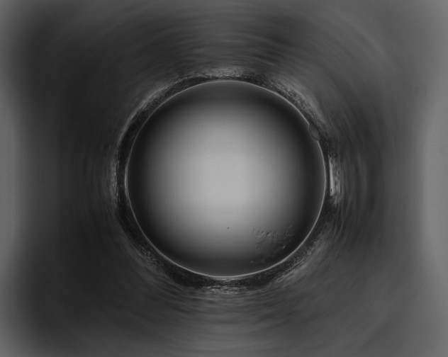 X0000095940300200801111335