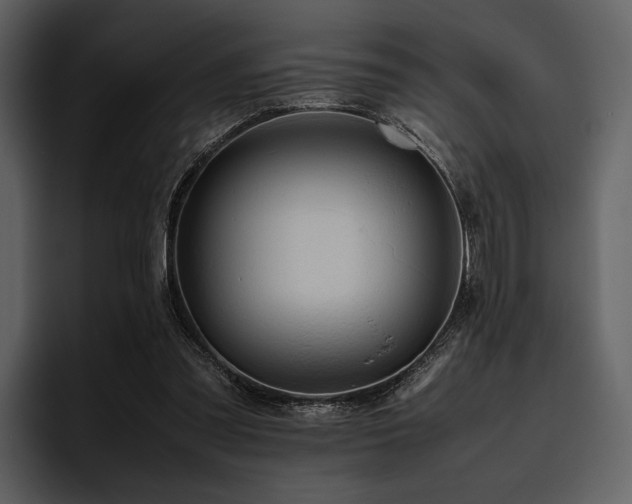 X0000095940301200801111335