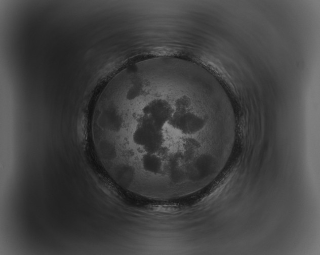 X0000095940303200801111335