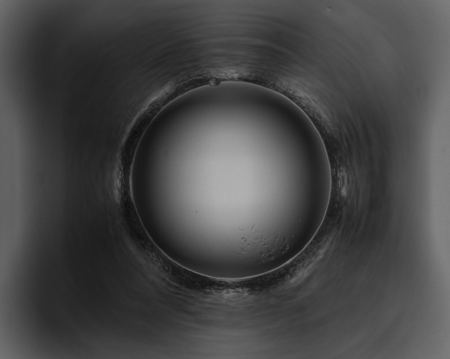 X0000095940304200801111335