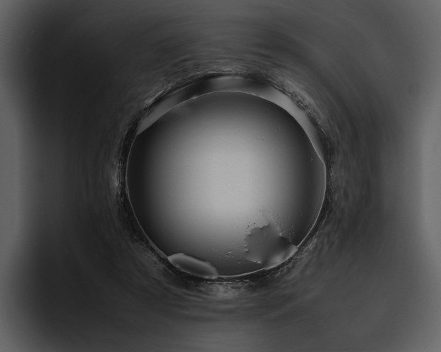 X0000095940305200801111335