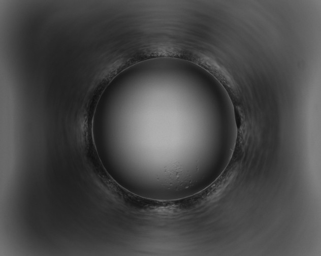 X0000095940306200801111335