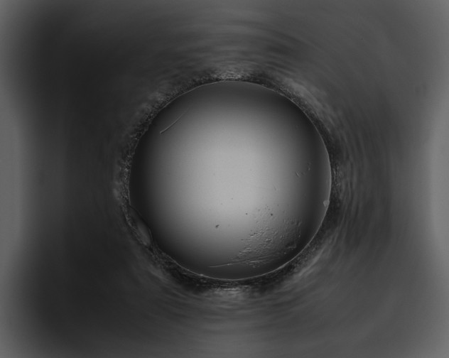 X0000095940307200801111335