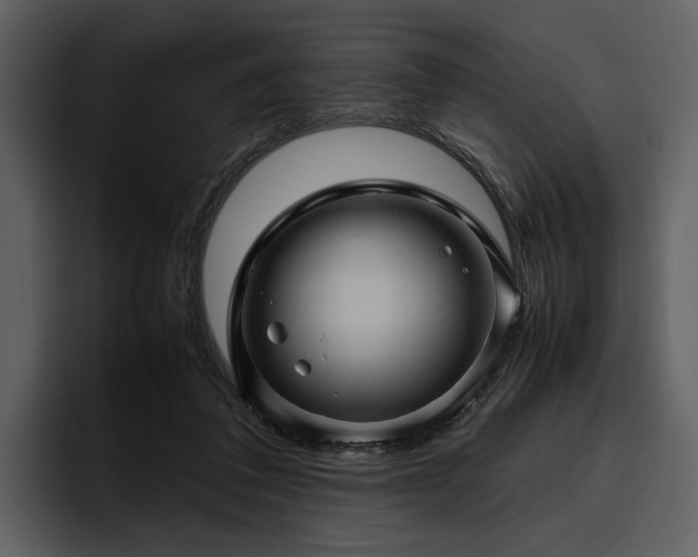 X0000095940308200801111335