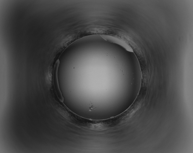 X0000095940309200801111335