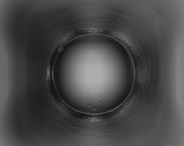 X0000095940310200801111335