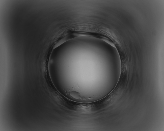 X0000095940317200801111335