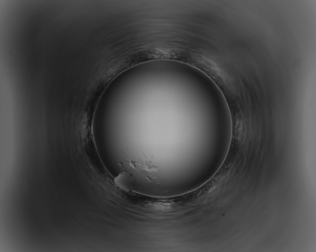X0000095940318200801111335