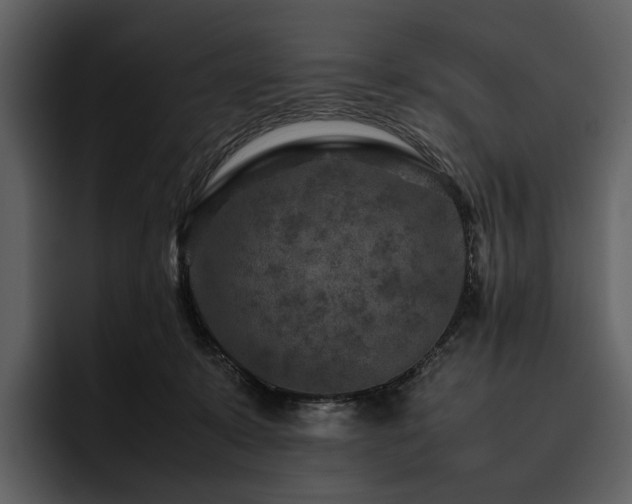 X0000095940319200801111335