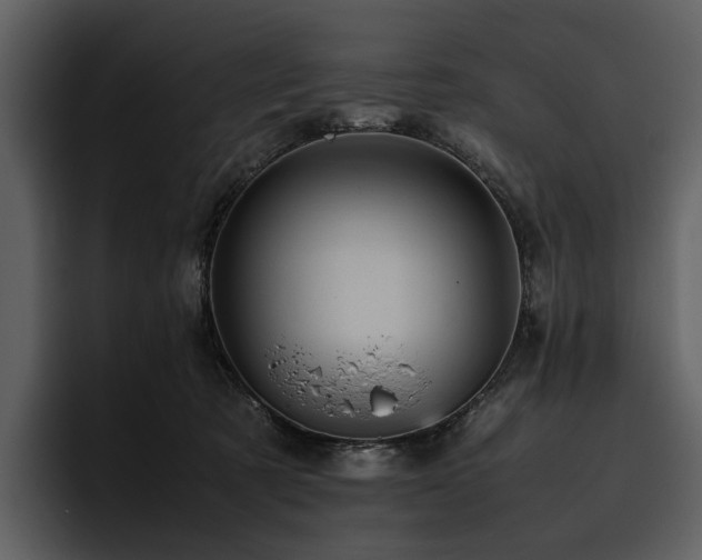 X0000095940321200801111335