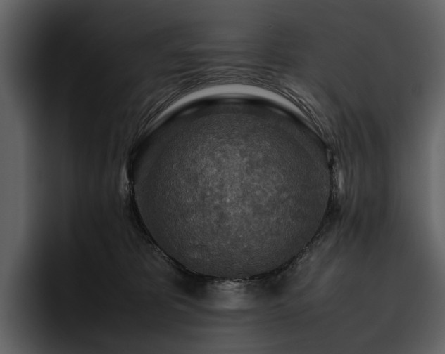 X0000095940325200801111335