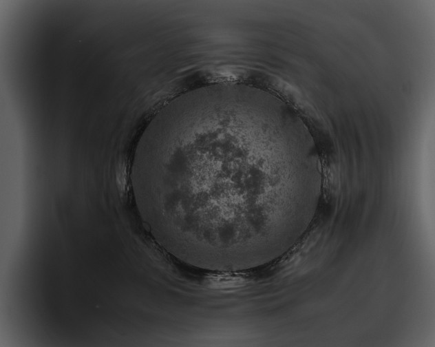 X0000095940331200801111335
