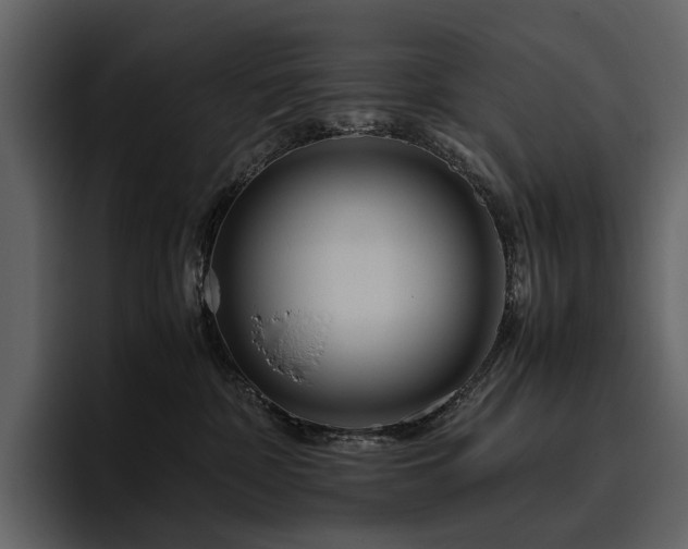 X0000095940332200801111335